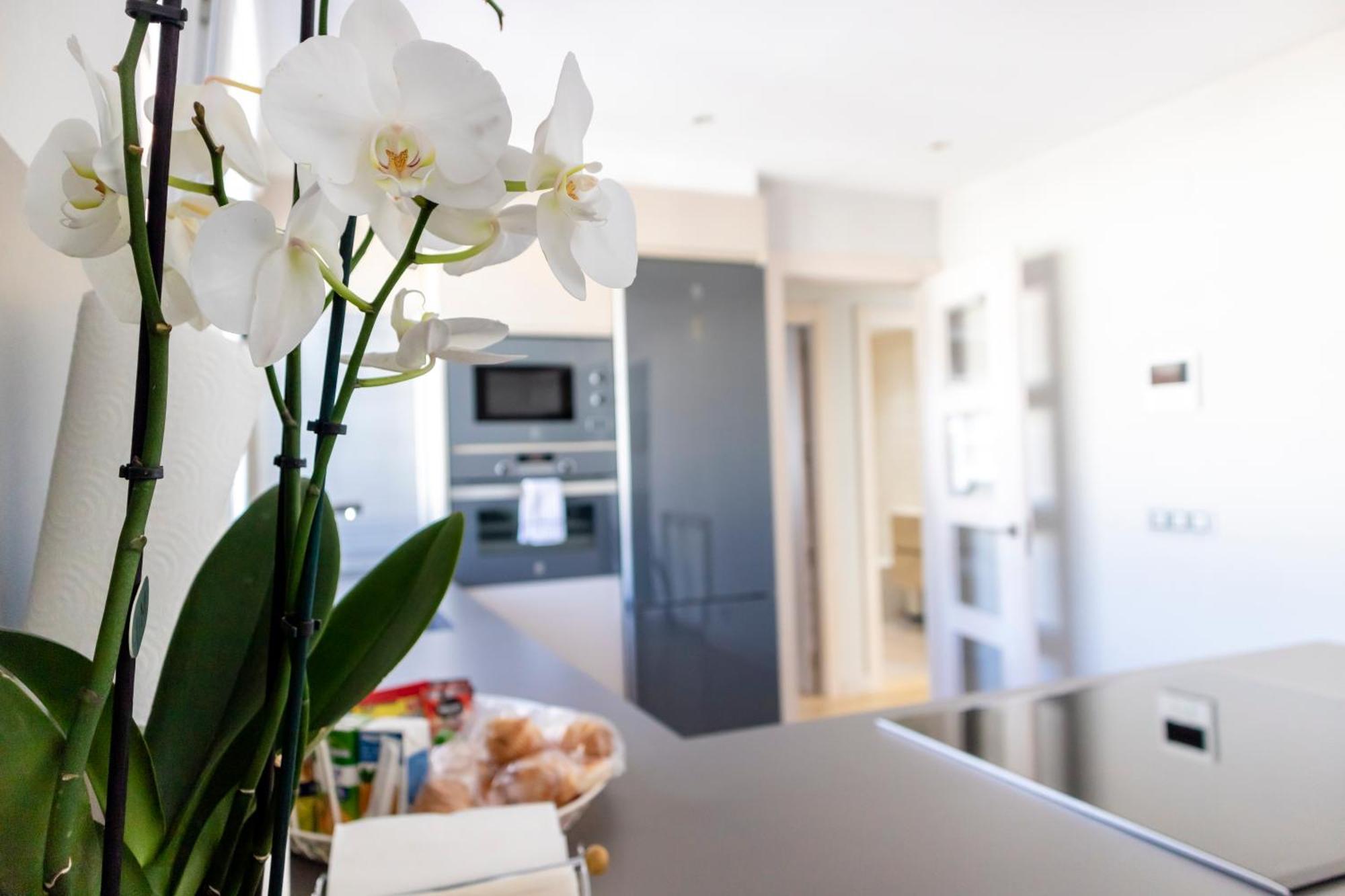Apartamento BURGO NUEVO: Ático de lujo en pleno centro con terraza y vistas León Exterior foto